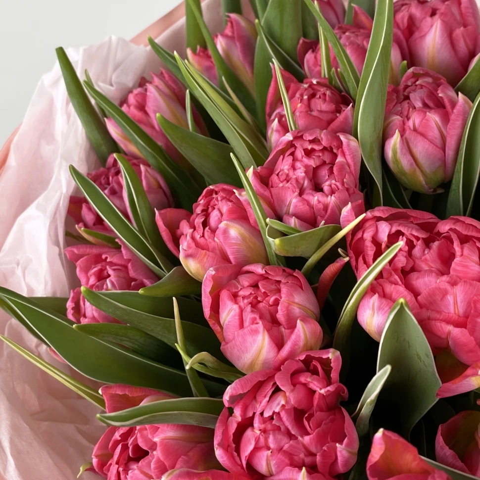 Букет из 25 тюльпанов