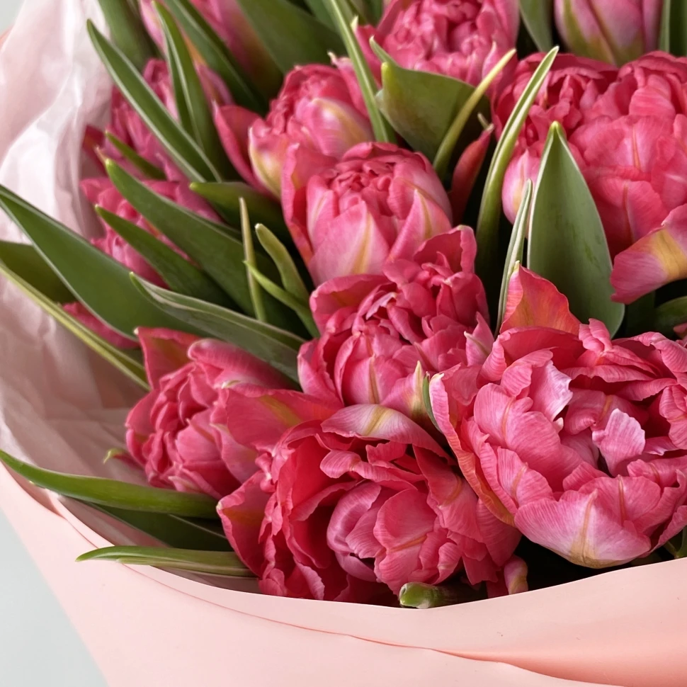 Букет из 25 тюльпанов