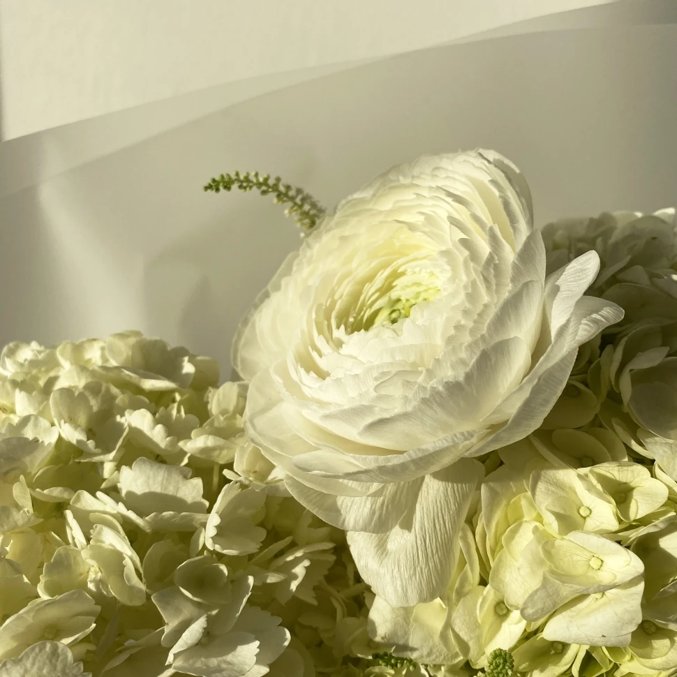 Букет из гортензий, ранункулюсов и астильбы