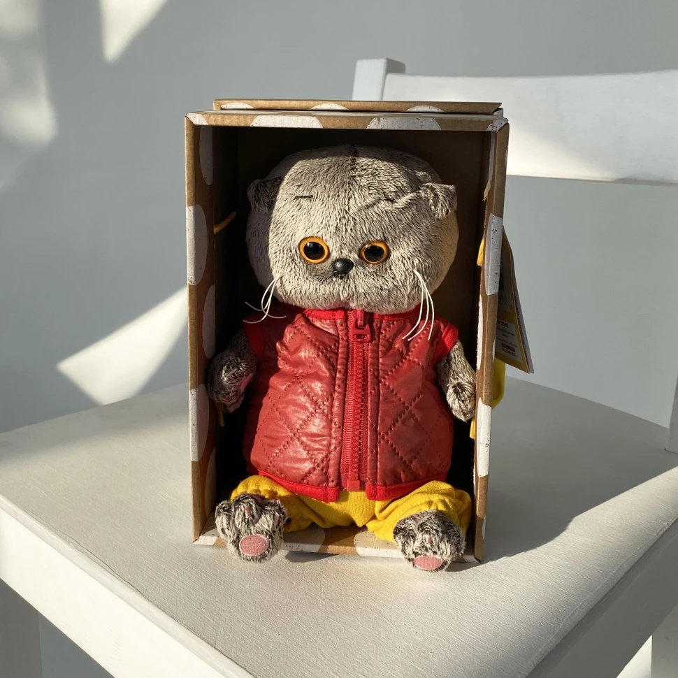 Басик в красной куртке