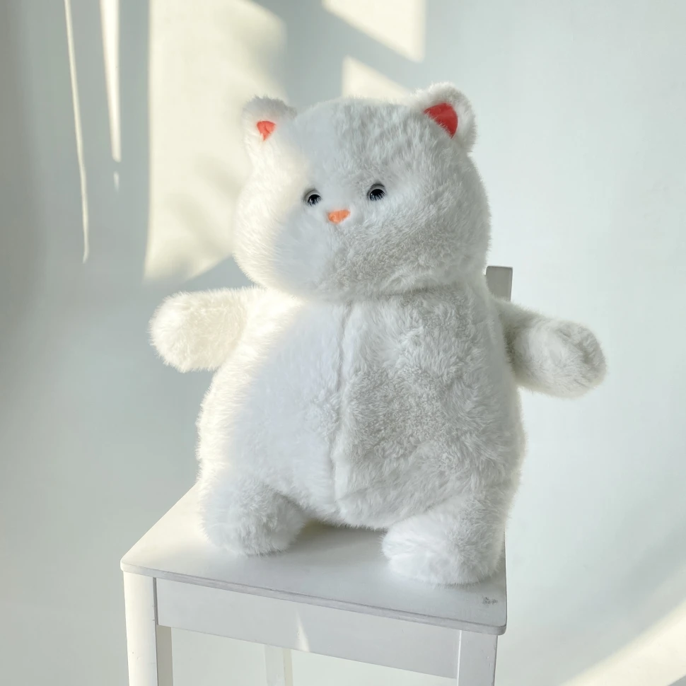 Белый котик