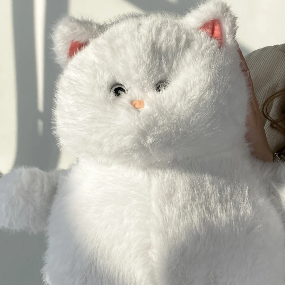 Белый котик №02