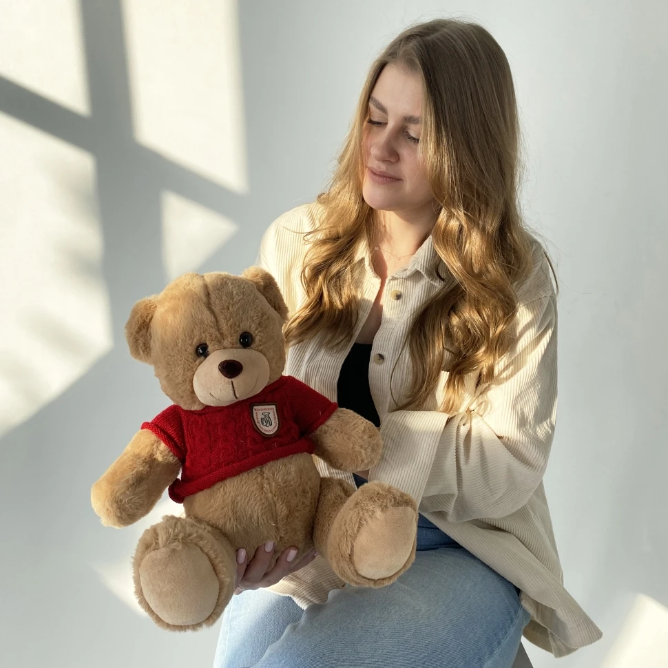 Мишка в свитере