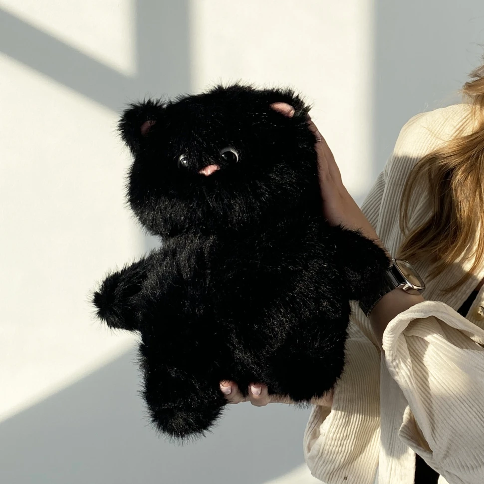 Черный котик