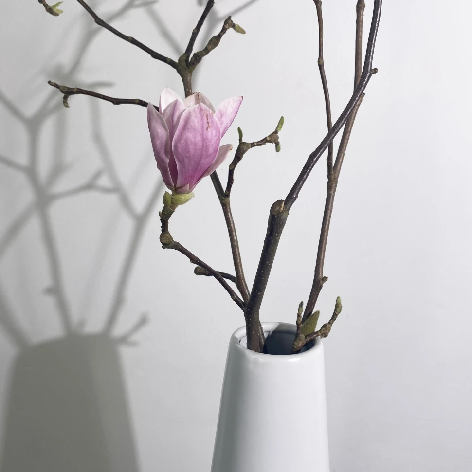 Ваза весенняя №01