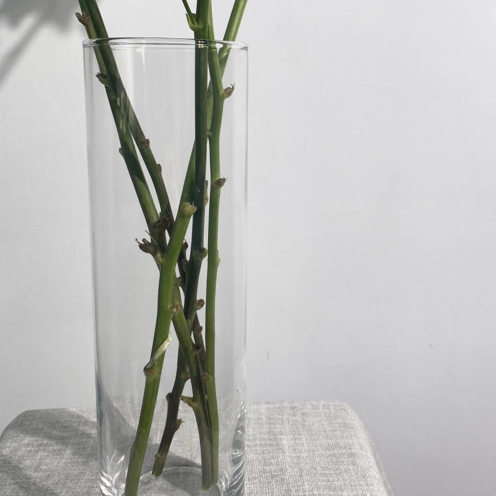 Ваза весенняя №07