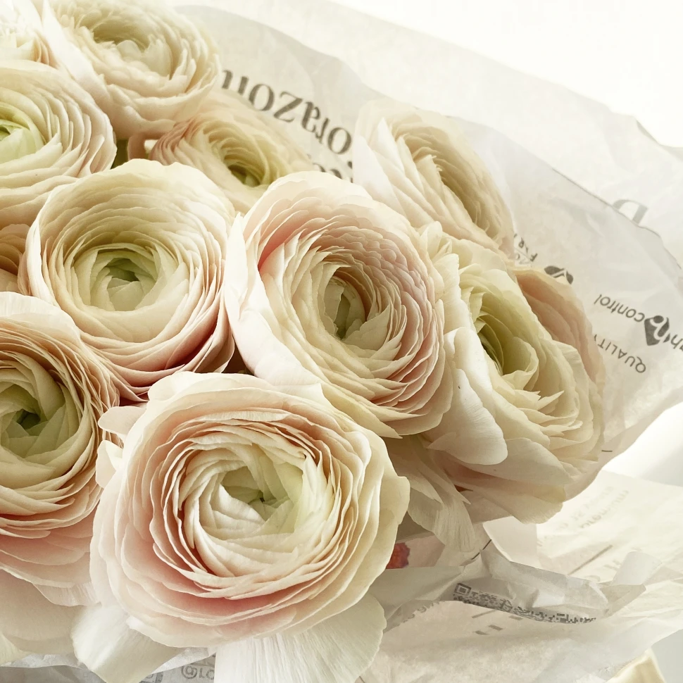 Букет из 15 ранункулюсов