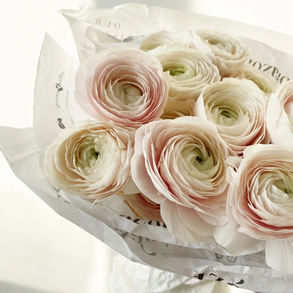 Букет из 15 ранункулюсов