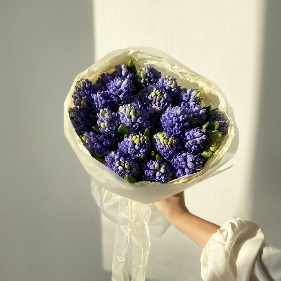 Букет из 25 гиацинтов