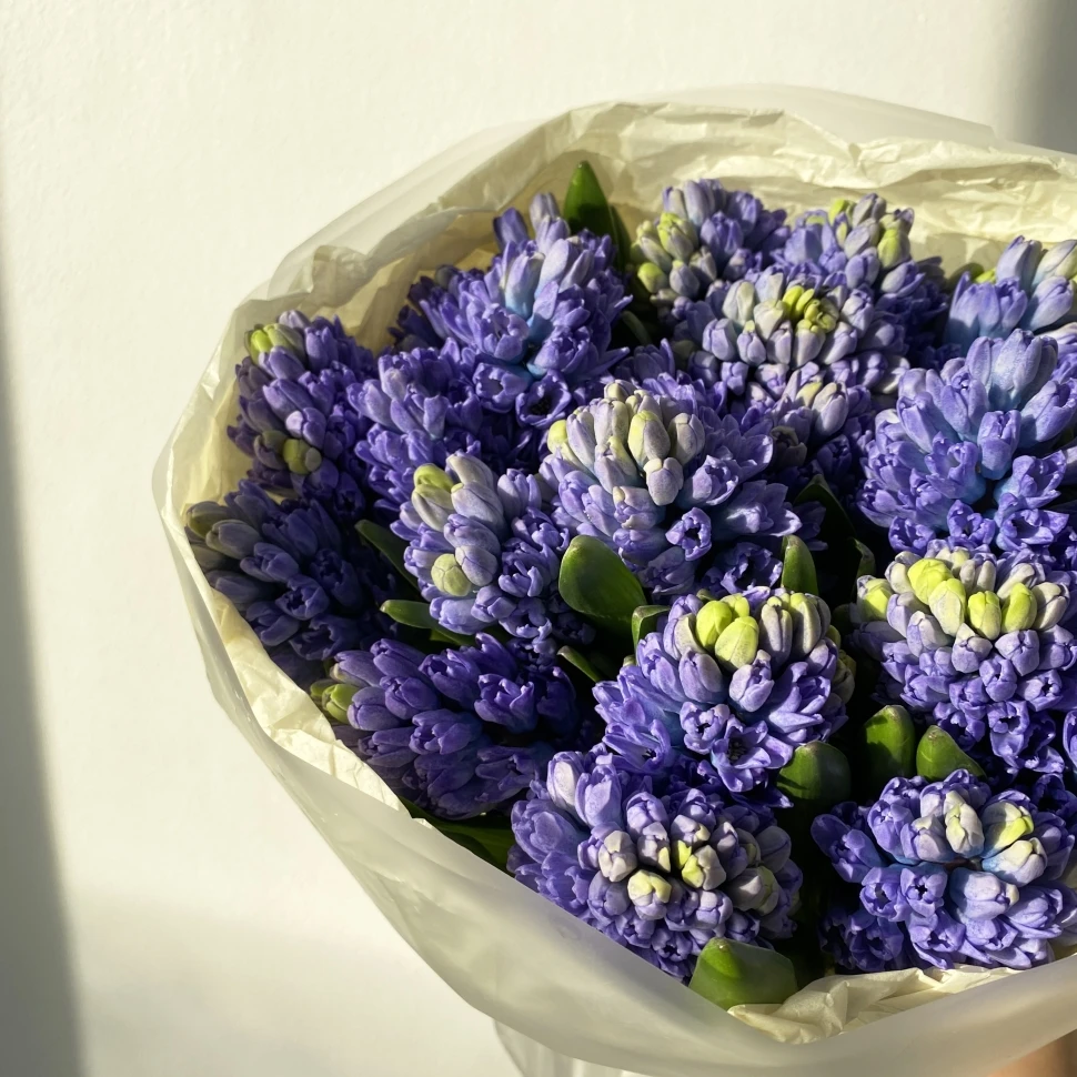 Букет из 25 гиацинтов