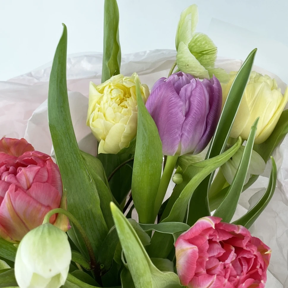 Букет с 11 тюльпанами и хелеборусом