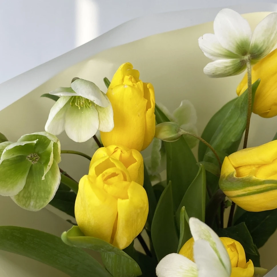 Букет с тюльпанами и хелеборусом