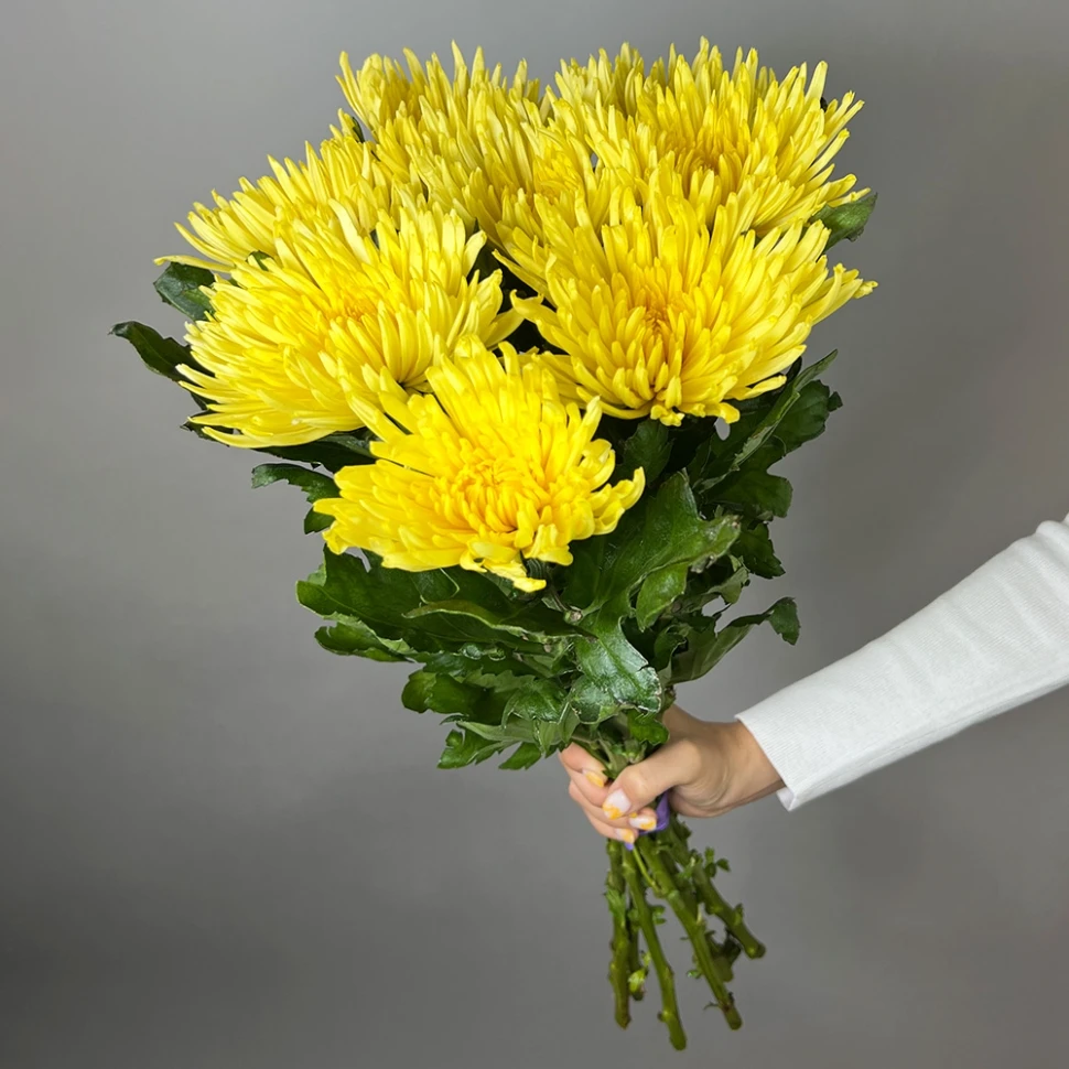 Букет из 9 желтых хризантем