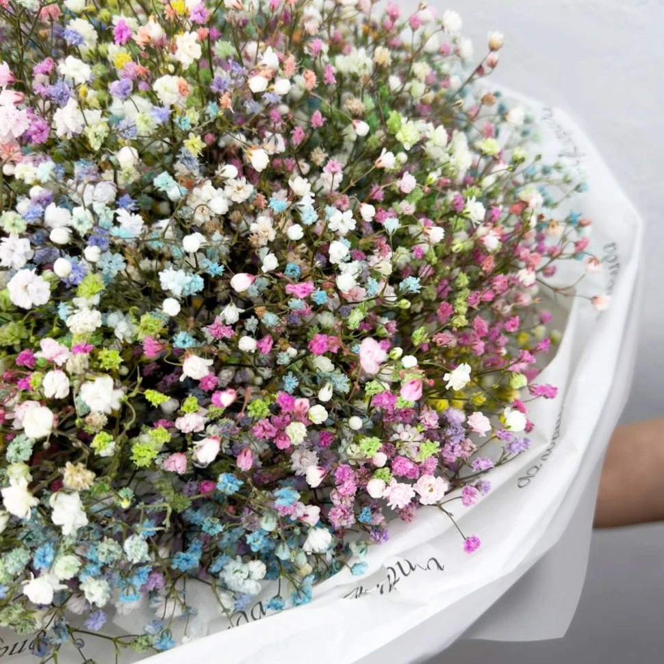 Букет из 15 цветных гипсофил