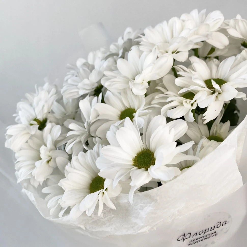 Букет из 5 хризантем