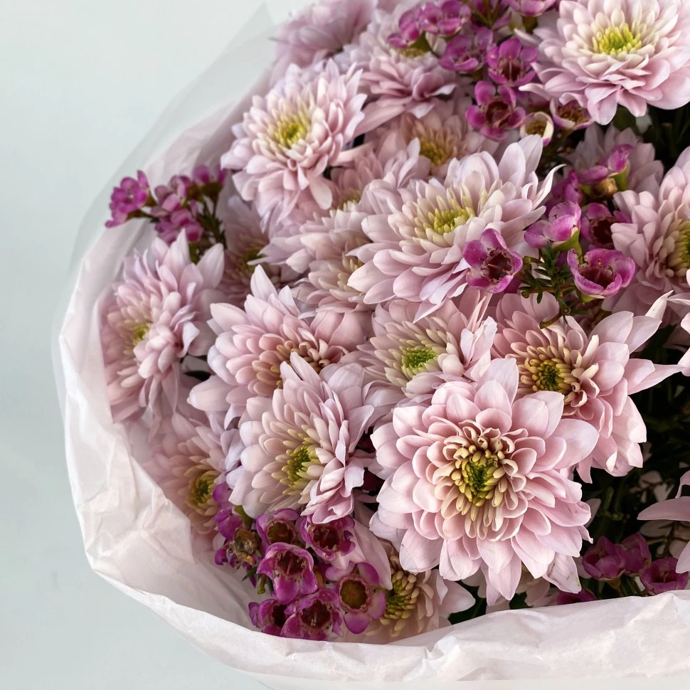 Букет из 5 хризантем и хамелациума