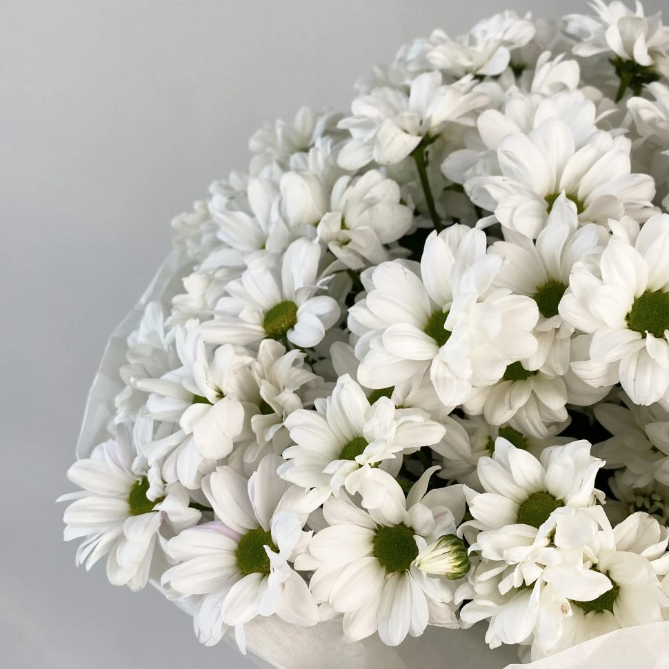 Букет из гипсофилы