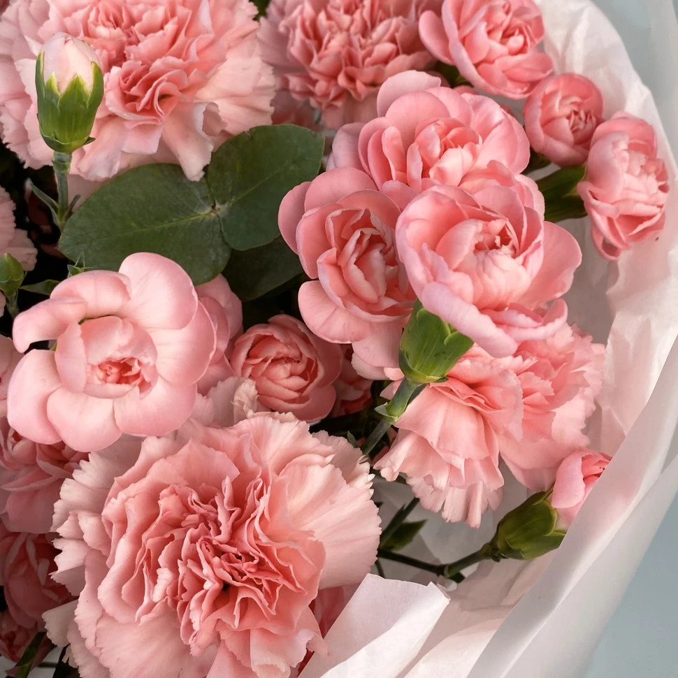 Букет из кустовой и голландской гвоздики