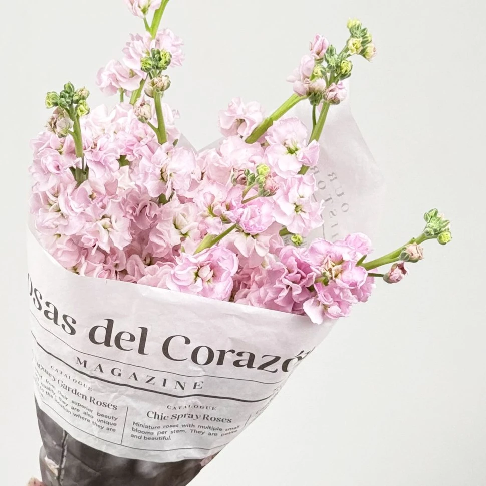 Букет из маттиолы