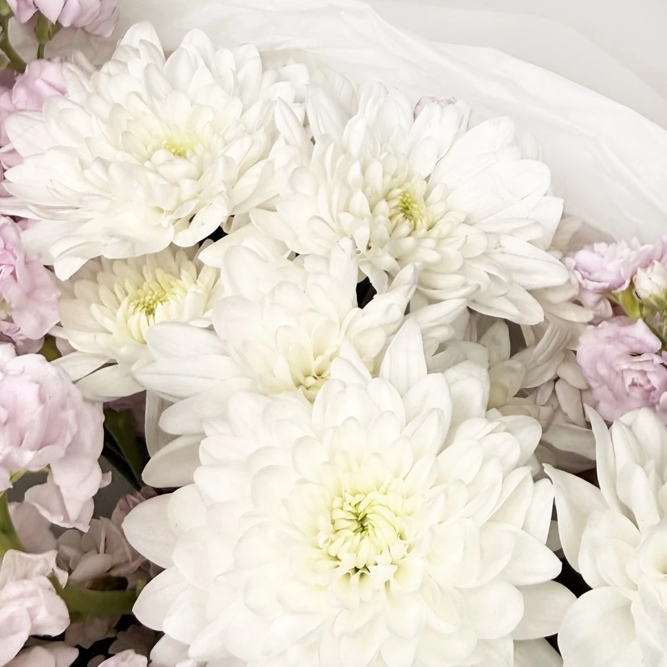 Букет из хризантем и маттиол