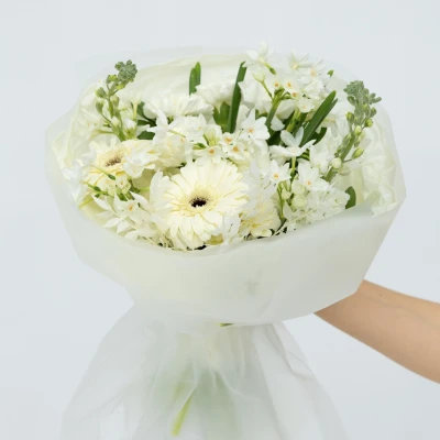 Сборный букет из гортензии, гвоздик, аллиума