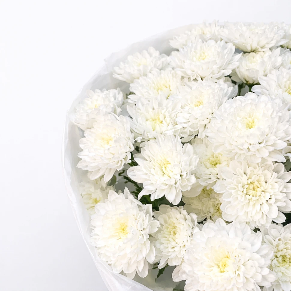 Акция! Букет из 11 хризантем Алтай