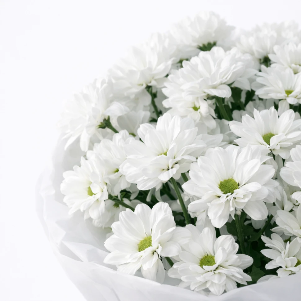 Акция! Букет из 11 хризантем кустовых