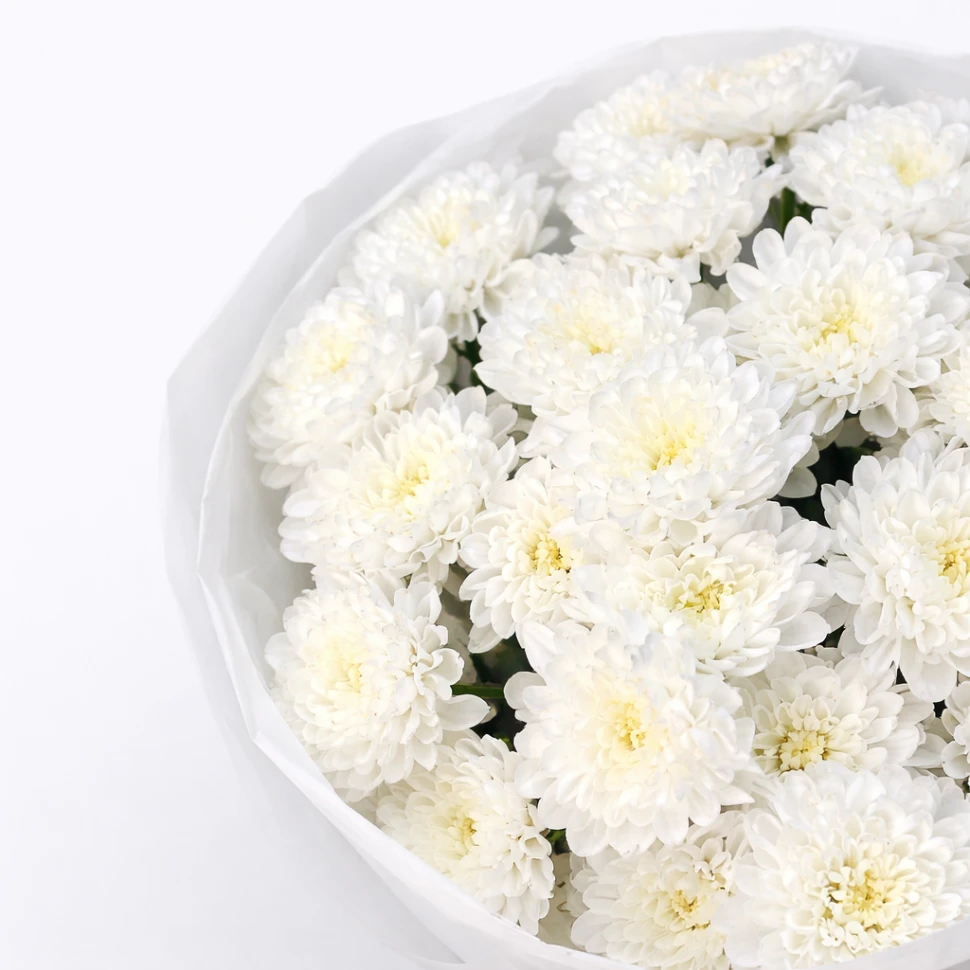 Акция! Букет из 7 хризантем Алтай