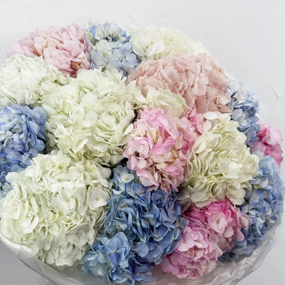 Букет из 15 гортензий
