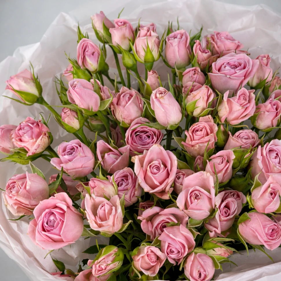 Букет из 15 розовых кустовых роз