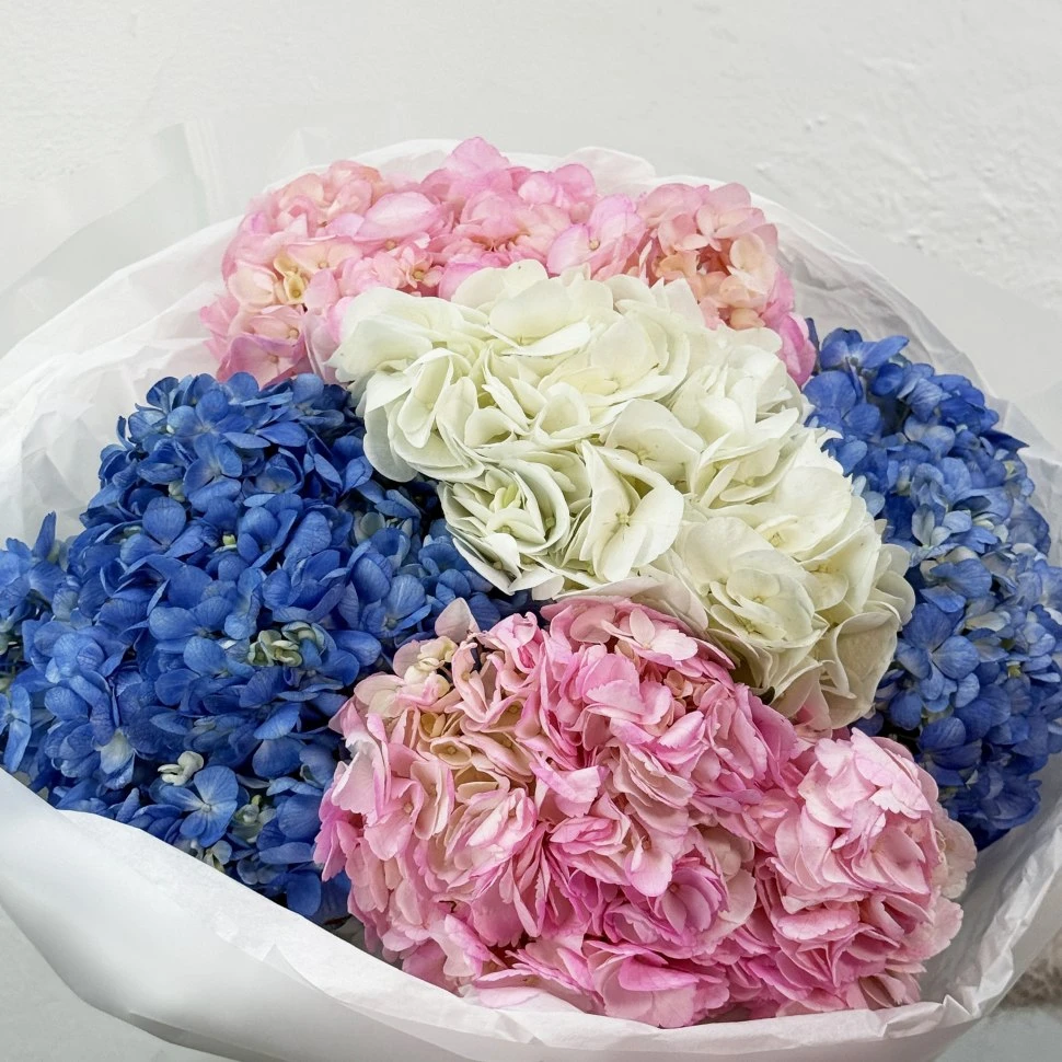 Букет из 5 гортензий