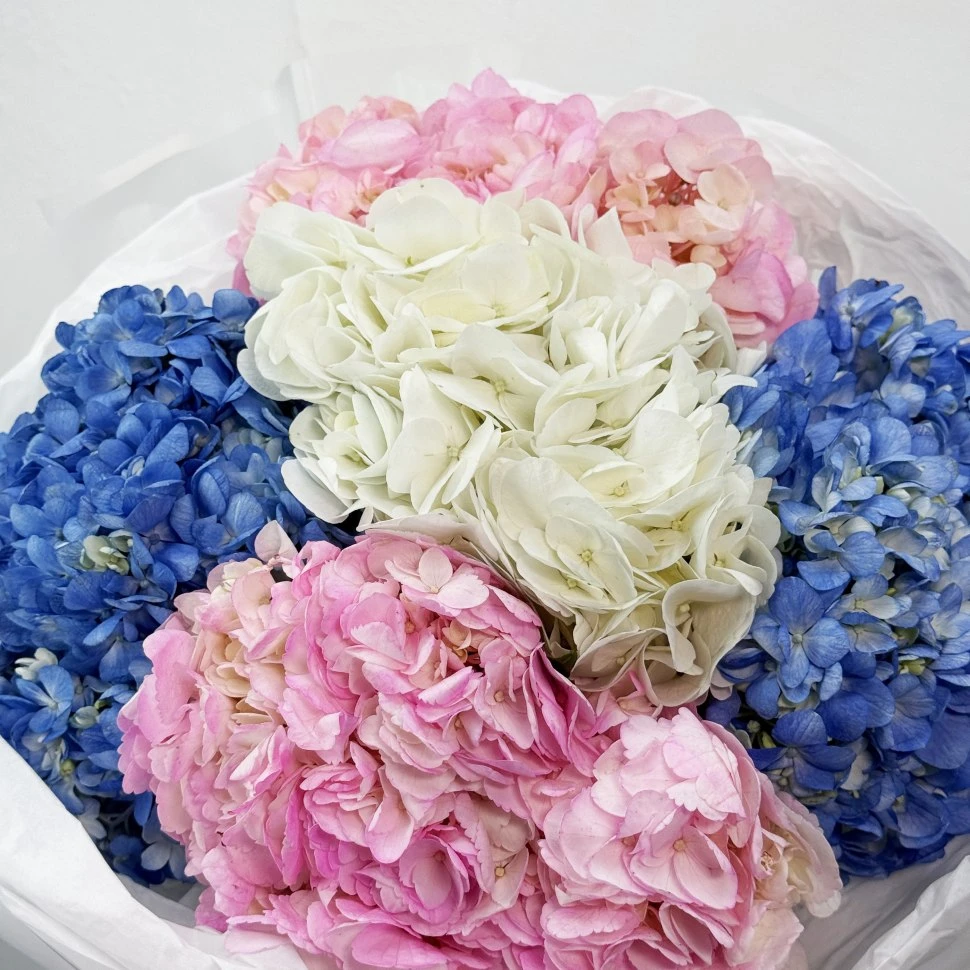 Букет из 5 гортензий