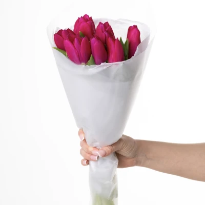 Букет из 7 тюльпанов (цвет из имеющихся)